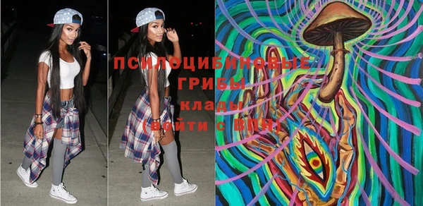 индика Верея