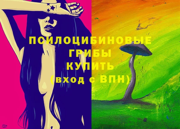индика Верея