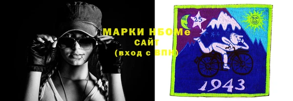 индика Верея