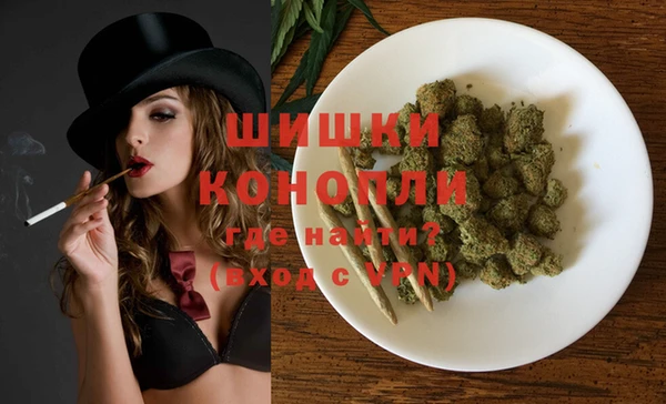 индика Верея